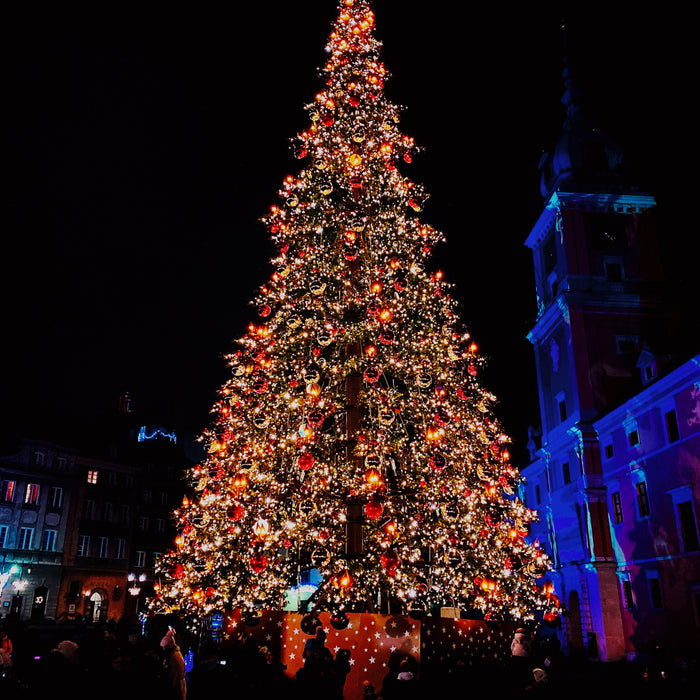 How To Conserve Energy & Save Money This Christmas