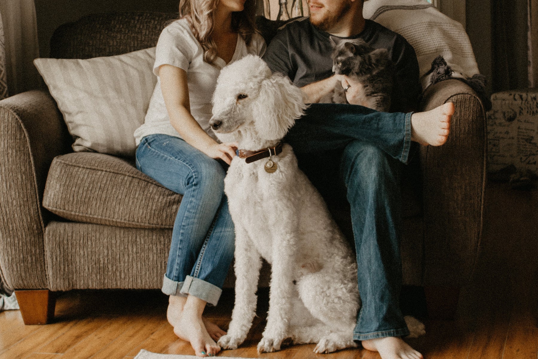 3 Tips for Keeping Your Dog Happy Indoors