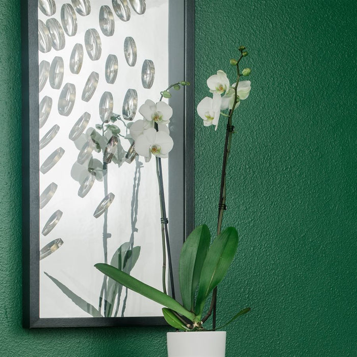 Halcyon's Curvature Wall Art - Lifestyle Furniture