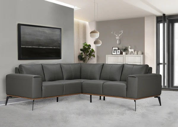 Pietro 2PC sectional - Lifestyle Furniture