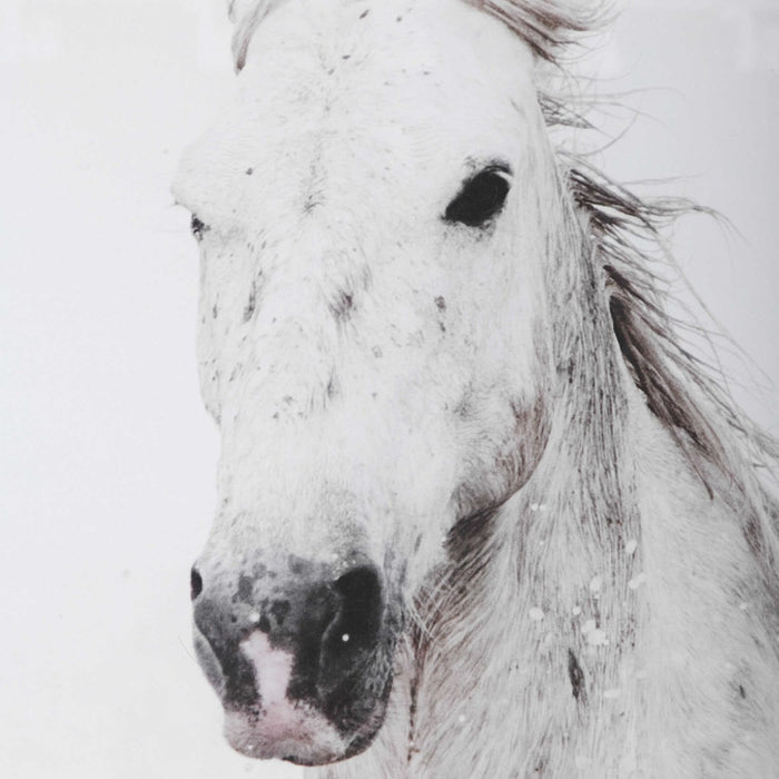 Running Free Framed Print - Lifestyle Furniture