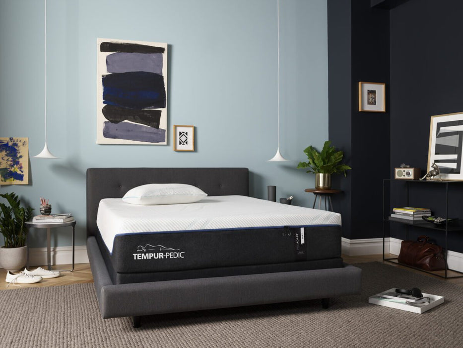 TEMPUR-Adapt Pro Soft Mattress - Lifestyle Furniture