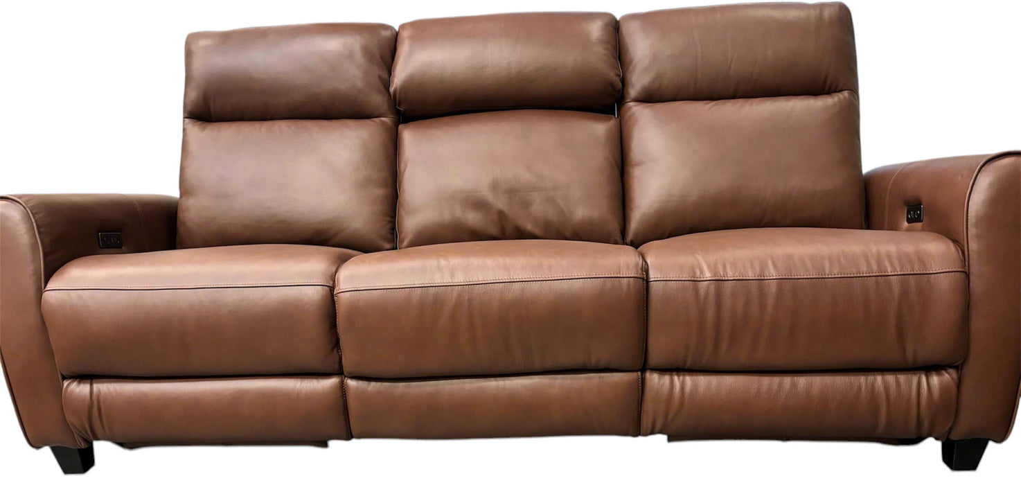 Cozy Power Sofa & Loveseat - Lifestyle Furniture