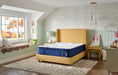 Stearns & Foster Studio Medium Euro Pillow Top Mattress - Lifestyle Furniture