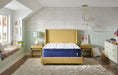 Stearns & Foster Studio Medium Euro Pillow Top Mattress - Lifestyle Furniture