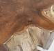 Groot End Table - Lifestyle Furniture