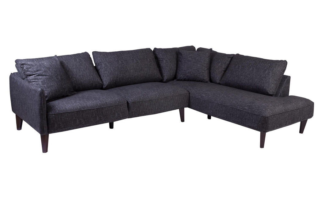 Our Asher a 2 piece sectional with a modern look. This two piece sectional comes in grey linen fabric and has clean lines 