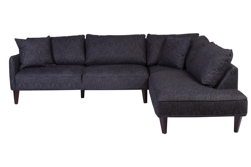 Complete your living room with the Asher contemporary sectional. 